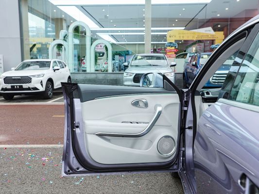 2024 Long Range Version 500 km Interior Luxo Conduzir Suave Ora Good Cat Mini Ev Carro Elétrico