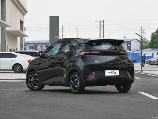 Tipo de energia Bateria Veículo elétrico BYD Seagull Hatchback de 4 lugares Veículos SUV 2024