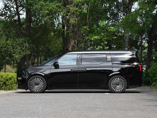 686 Nm Torque Máximo EV Carro Elétrico 2024 ZEEKR 009 WE Pure Eleromobil para Conduzir