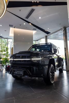 Potência máxima Ps 150-200Ps O melhor tanque de veículo pessoal 300 para aventuras off-road